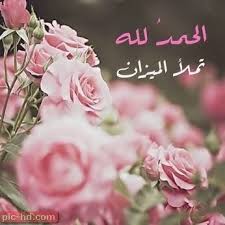 صور حلوه للبنات صور جميلة جدا مناسبة للبنات Plants Flowers Rose