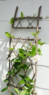 Pin Pa Inspiration For My Garden