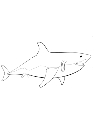 Maybe you would like to learn more about one of these? Coloring Pages Printable Shark Coloring Pages For Kids
