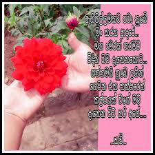 Check spelling or type a new query. à¶šà·€ à¶…à¶»à¶« Kavi Arana Facebook