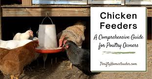 Chicken Treadle Feeder - 17.6 Lb. Chicken Feeder With Pressure Lever R –  Rural365