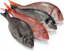 In general, everything is halal and allowed except what has been specifically forbidden by allah almighty. What Seafood Is Permissible In Islam