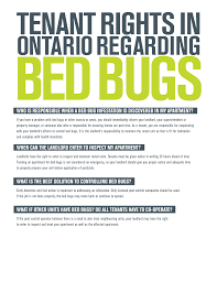 At the end of a tenancy the tenant must leave the property in the same condition it was in at the start of the tenancy, apart from fair wear and tear. Https Www Regionofwaterloo Ca En Living Here Resources Documents Bed Bug Tenant Rights Pdf