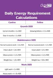 Calculate The Perfect Portions For Pets