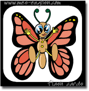 Add a new card (or press tab). Mes Flashcards