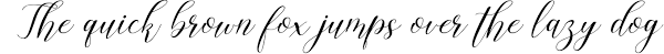 Some scripts are more formal like elegant calligraphy, while others are casual like cursive handwriting. The Delightful Font Bundle Iv Font Bundles