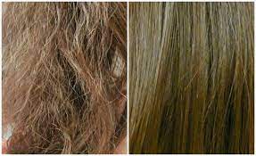 علاج الشعر التالف والمتقصف بالزيوت الطبيعية