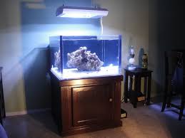 Difficult dimensions due to its half circle shape. Cube Build 70gal Bullet Proof Bank Wall Acrylic Beast Reef2reef Saltwater And Reef Aquarium Forum