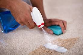 Check spelling or type a new query. How To Clean An Indoor Outdoor Rug Step By Step Professional Guide