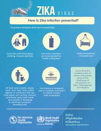 Afrikaans albanian arabic bengali chinese croatian czech danish dutch english finnish french german greek hindi hungarian icelandic indonesian italian japanese korean latin malay malayalam marathi nepali. Paho Who Zika Virus Infection Infographics