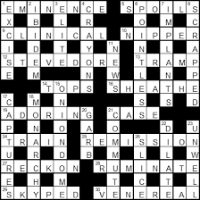 Come back every day for a new challenge for crossword fanatics and other word puzzle lovers. Bridgespotter S Cryptic Crosswords New Zealand Doctor