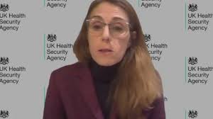 First human case of new swine flu strain detected in UK