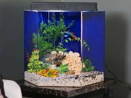 Aneka model meja aquarium jati jepara minimalis modern dan ukiran harga murah mulai 3 jutaan. 30 Model Meja Aquarium Minimalis Besi Kayu Harga 2021 Rumahpedia