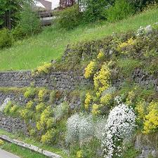 Wir verwandeln jeden garten in ein paradies und gestalten ihren individuellen traumgarten. Gartenpflege Ihr Bauprofi Aus Zweibrucken Scharding Bauunternehmung
