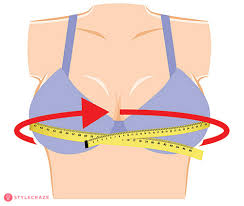 Maybe you would like to learn more about one of these? Bra Size Calculator In Cm How To Measure Bra Size Chart