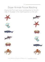 Ocean Animals Worksheets For Kids Ocean Animals Preschool Ocean Animals Pictures Ocean Theme Preschool