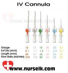 Pin On Nursing Health
