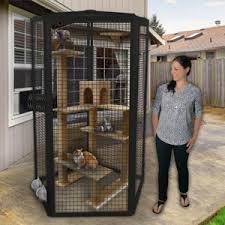 A wide variety of outdoor cat enclosure options are. Build Your Own Cat Cages Customcages Com