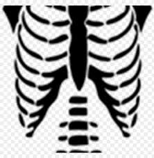 Some free options include gimp and for each template, notice that the parts are folded up and wrapped around a roblox character's body. Huge Freebie Download For Powerpoint Hoodie T Shirt Roblox Png Image With Transparent Background Toppng