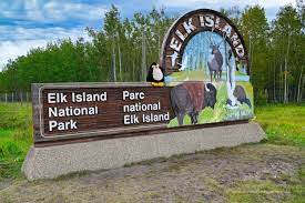 We did not find results for: Elk Island National Park Wo Ist Der Pinguin