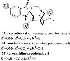 Image result for Corynanthe