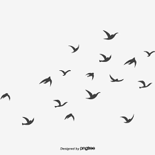 Black Flying Swallow Little Bird Swallow Free Png Transparent Clipart Image And Psd File For Free Download Flying Bird Silhouette Black Bird Fly Dove Images