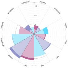 Peter Cook Radial Bar Chart Component For D3