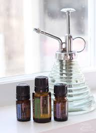 10 Non Toxic Dust Mite Remedies For Your Home Pretty Handy Girl
