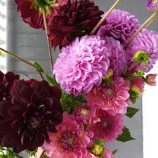 We did not find results for: Brookstead Fine Flowers D A H L I A They Don T Last Long But Their Beauty Is Worth It Serving Durhamregion Gta Toronto Scarborough Pickering Ajax Located In