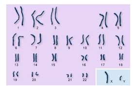 Kazalika shirin ya zanta kan makudaden kudaden da hukumar yaki da cin hanci da rashawa ta najeriya ta gano a. Kiwon Lafiya Page 3 Hanyoyin Kariya Daga Cututtuka