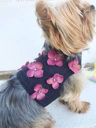 Harnais Pour Petit Chien En Jeans Avec Fleur Parme Cet Strass Rose Pastel Dog Clothes Dogs