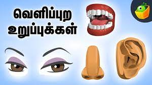They are renewable natural resources. Know Your Body Outside Your Body External Part Tamil Learning Videos Youtube