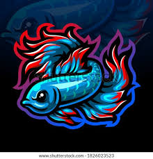 Bunga rampai agribisnis dan ukm jenis ikan hias air tawar. Siamese Fighting Fish Betta Fish Png Stunning Free Transparent Png Clipart Images Free Download