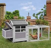 Cerceau de poulet extérieur poule maison 84 cage de volaille en bois avec  grand nidification Bo, résistant aux intempéries