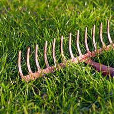 If you have compacted soil, or your lawn feels spongy or looks thin, you probably do. Early Spring Lawn Care And Dethatching