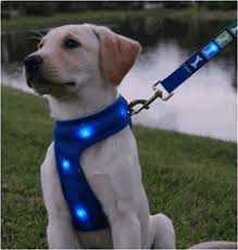 lighted harness reflective harness lighted dog leash dog harness dog collar light