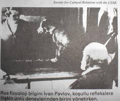 Pavlov Un Kopegi Uludag Sozluk
