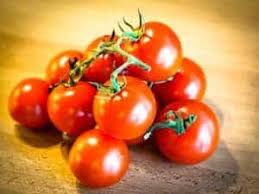 (149,00€ bei amazon*) damit die starkzehrer im eng begrenzten raum des pflanzgefäßes nicht darben müssen, stehen biologische flüssigdünger im fachhandel bereit. Tomaten Dungen Ratgeber Empfehlung