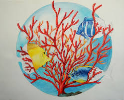 Sheppard software makes games for kids that are educational tools for online learning. International Art Competition Inspired By Coral Reefs Kslof Living Oceans Foundation