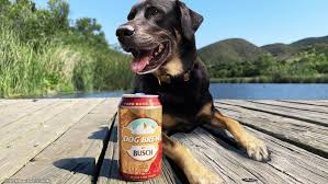 Not only does a pet have a new home, but it opens space for another. Your Dog Can Now Enjoy A Beer Thanks To Busch Michigan Humane