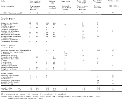 Image result for Andropogon pseudapricus