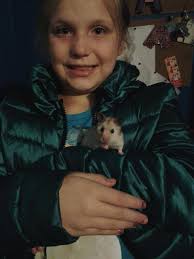 My little Fudge 💕 It's a sad wee post but my lovely little fudge, my  little lady, has sadly crossed the rainbow bridge and I have no idea what's  happened and why