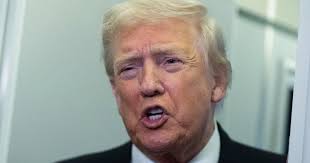 Trump Appoints Former Aide Kellyanne Conway To Air Force Academy Board Of  Visitors