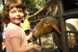 Cranbury brook farm (not currently open to the public) 9 Best Petting Zoos In Nyc For Kids