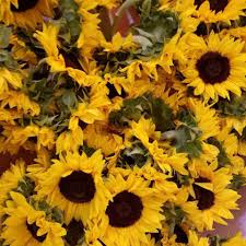 © billy cotton, all rights reserved. All New Wtng Almost Heaven Channel 7 Lumberton Nc Home Facebook