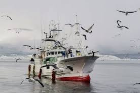 Check spelling or type a new query. Halo Jepang Dibebaskan Oleh Rusia Rusia Membebaskan Kapal Penangkap Ikan Jepang Pada 20 Jan Setelah Membayar Denda Kapal Tersebut Ditangkap Pekan Lalu Di Perairan Pulau Pulau Yang Disengekatakan Oleh Kedua Negara Kapal