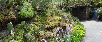 Comment apprivoiser un jardin en dénivelé ? Vegetaliser Un Talus Amenager Une Butte Fleurir Un Jardin En Pente