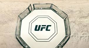 Ufc 251 saw three title events. Ufc 251 What Time Are The Fights Happening On Fight Island