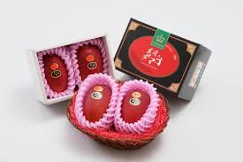 But when it grows up then they find. Rich Miyazaki Mangoes Special Visit Miyazaki City Official Miyazaki City Travel Guide