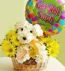 House of flowers may promote some senior discounts last a short period from time to time. Sick As A Dog Arranged By A Florist In Lubbock Tx Get Well Flowers Puppy Flowers Animal Flower Arrangements